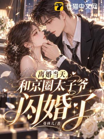 离婚当天,和京圈太子爷闪婚了