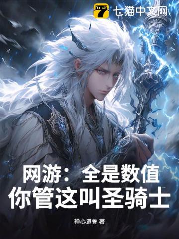 网游:全是数值,你管这叫圣骑士?