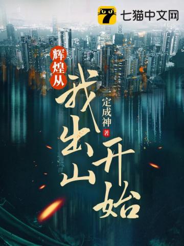 辉煌从我出山开始 封面