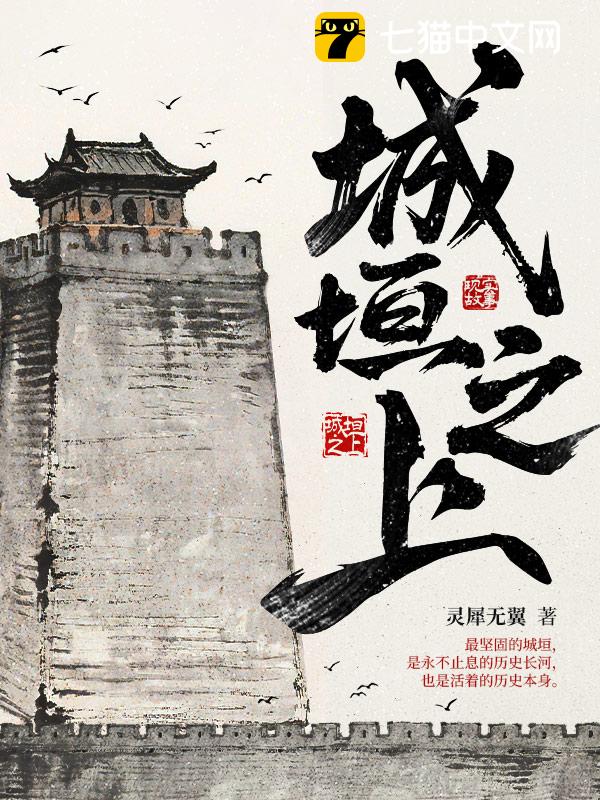 城垣之上